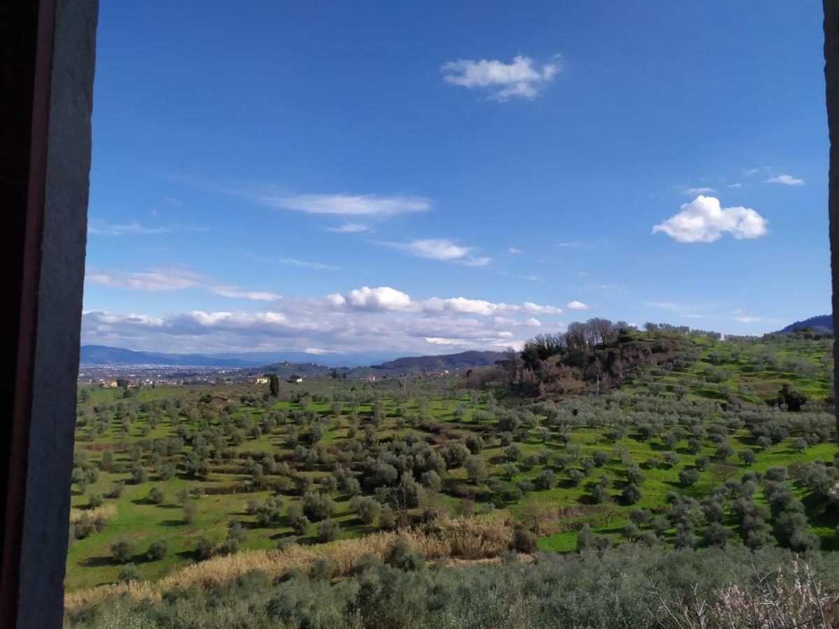 Casa L Oliveta Apartman Montemagno  Kültér fotó